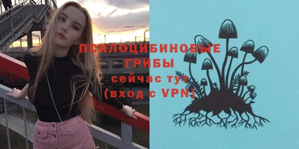 таблы Медвежьегорск