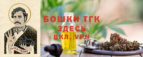 гашик Медногорск