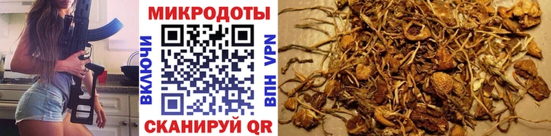 Галлюциногенные грибы мухоморы Лермонтов
