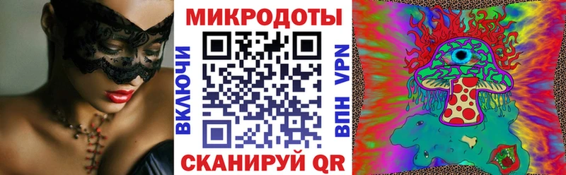 Купить  Лермонтов  Псилоцибиновые грибы Psilocybe 